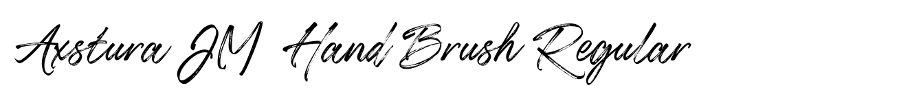 Axstura JM  Hand Brush Regular